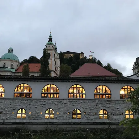 Tamliving 2br Center 3 Bridges Great View Kitchen Apartment *